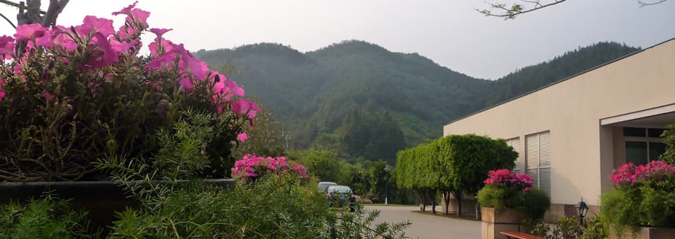 Conghua Hot Springs
