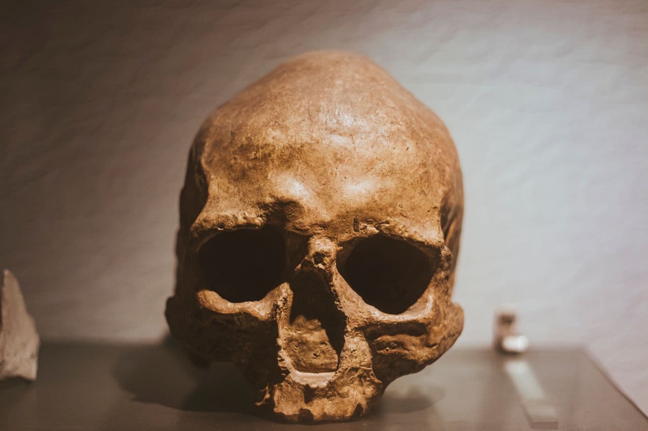 Zhoukoudian Site (Peking Man)