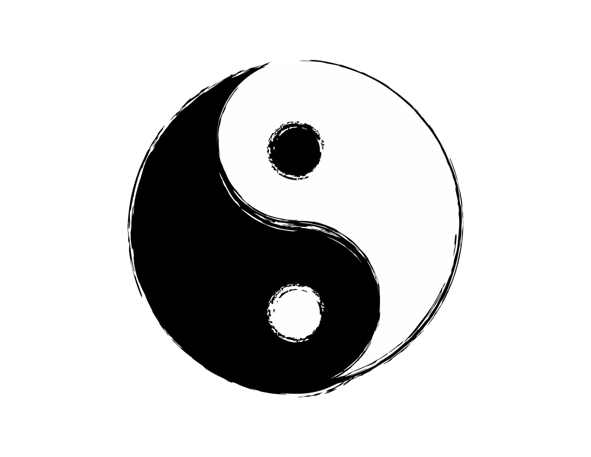 The Philosophical Foundations of Traditional Chinese Medicine