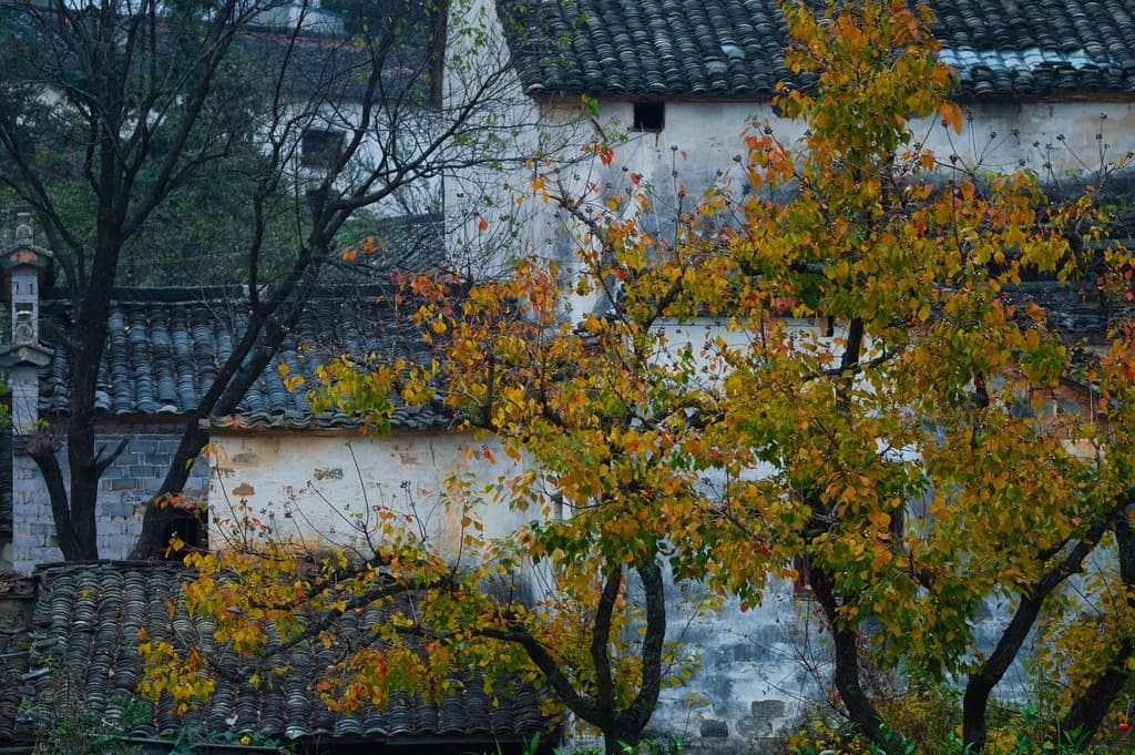 Tachuan Historic Village