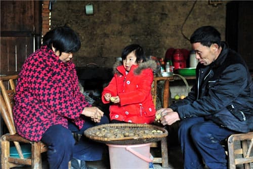 The Courage of a 7-Year-Old Orphan Girl