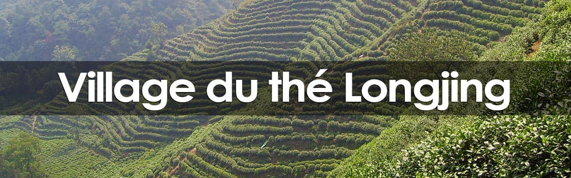Longjing Tea Village (Dragon's Well)