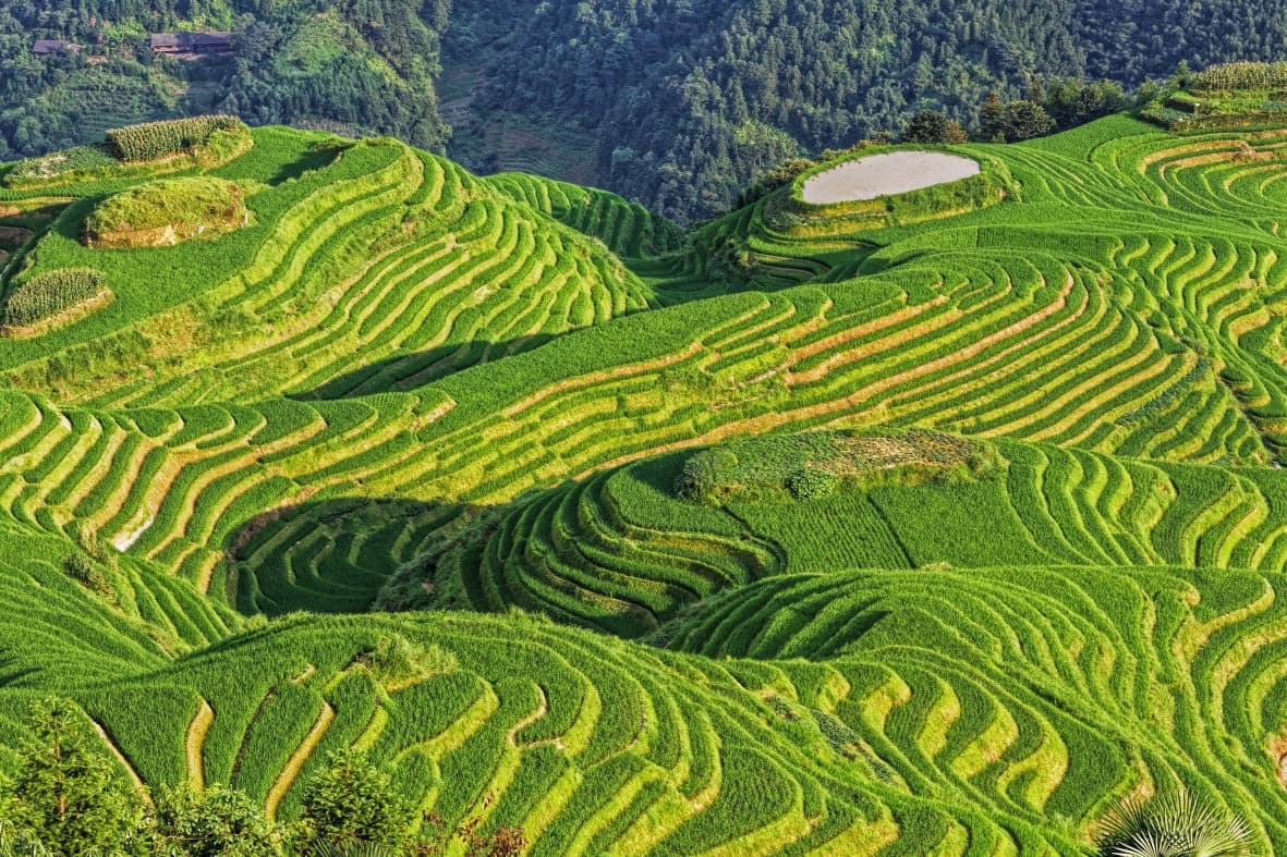 Ping'an Village