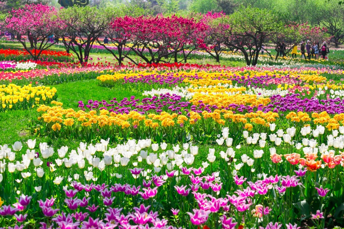 Beijing Botanical Garden