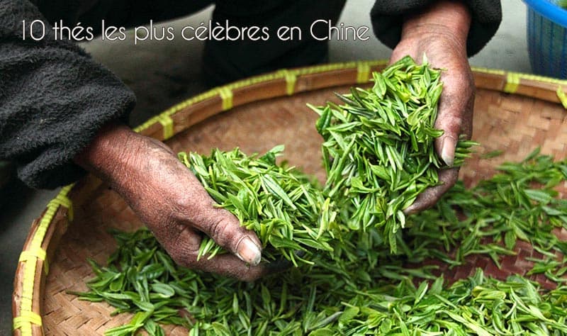 The 10 Most Famous Teas of China