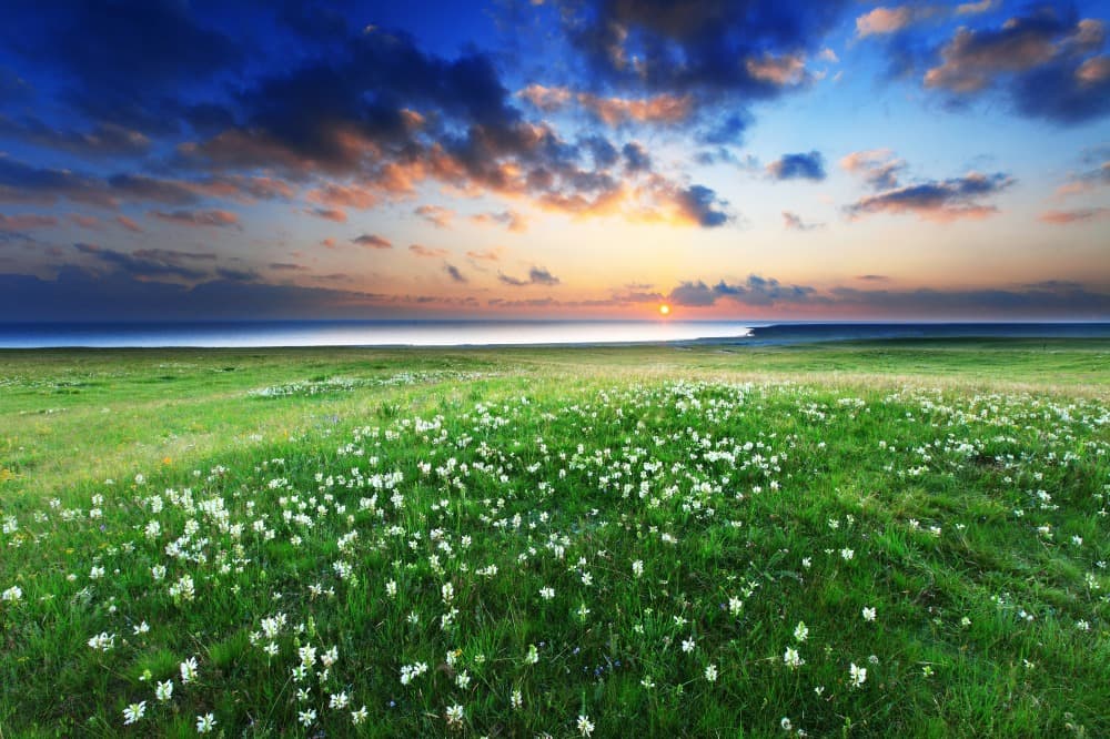 Qinghai Lake