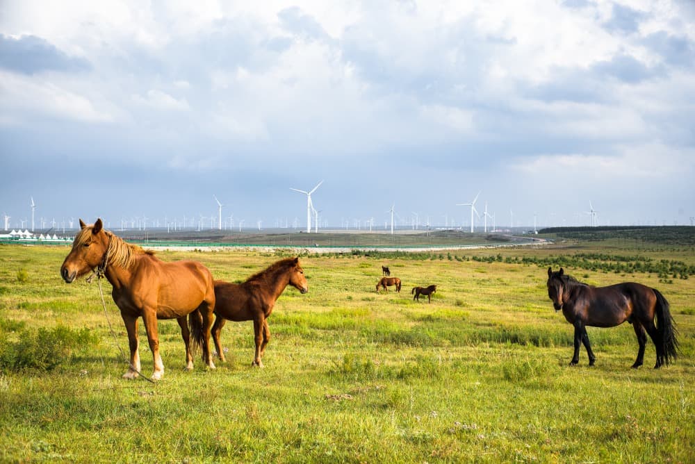 Huitengxile Grasslands
