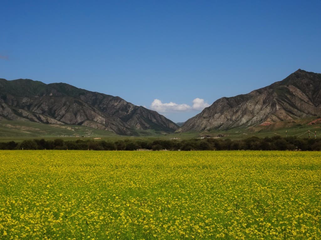 Sangke Prairie