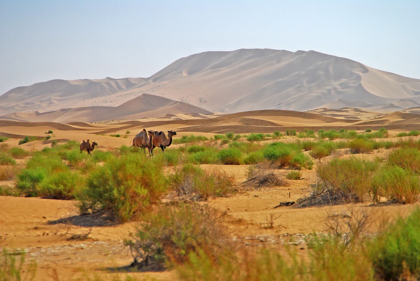 badain jaran desert