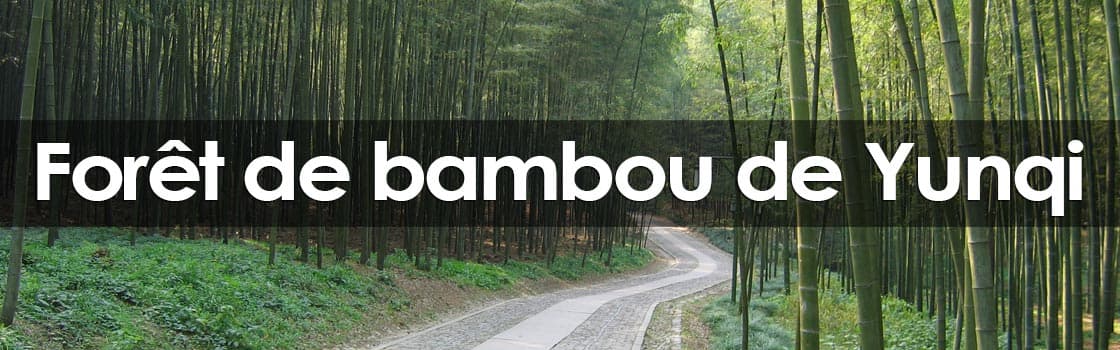 Yunqi Bamboo Forest